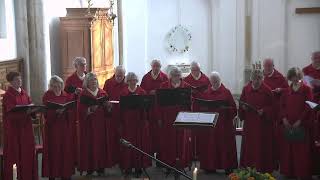 Dienst vanuit de Martinikerk in Doesburg 3 maart 2024 [upl. by Airebma]