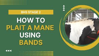 BHS Stage 2 How To Plait a Mane Using Bands [upl. by Atil]