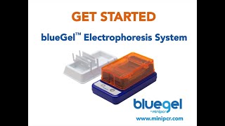 Getting Started with the blueGel™ Electrophoresis and Visualization System from miniPCR bio™ [upl. by Sille]