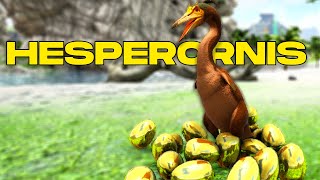 COMO TAMEAR HESPERORNIS y TODAS SUS HABILIDADES PC PS y XBOX  ARK [upl. by Tatia]