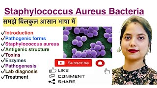 Staphylococcus Aureus Bacteria in Hindi  Lab Diagnosis  Pathogenesis  MLT  Nursing  Pharmacy [upl. by Yslek]