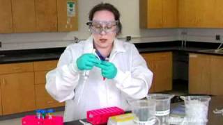 Pipetting Basic Pipetting [upl. by Aryam]