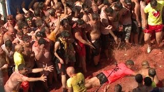 Tomatina reúne milhares de turistas na Espanha [upl. by Mychal763]