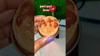 Mini panipuri lover 😋 trending golgappa viralrecipe golgappapanirecipe viralvideo food [upl. by Pauiie475]