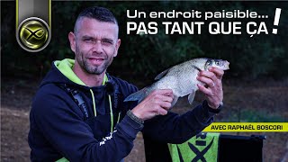 UN ENDROIT PAISIBLE Pas tant que ça PÊCHE AU FEEDER EN LAC avec Raphaël Boscori  Matrix Fishing🇫🇷 [upl. by Engedus]