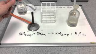 Testing for the ammonium ion [upl. by Eekcaj]