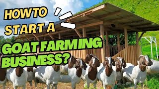 HOW TO START A GOAT FARMING BUSINESS  STEP BY STEP TIPS [upl. by Jessy]