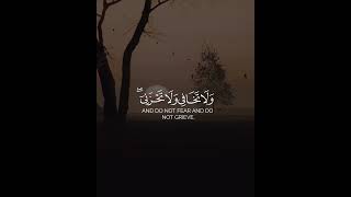 واوحينا إلى أم موسى أن ارضعيه🖤🕊️fyp قران quran ياسرالدوسري [upl. by Nivert206]