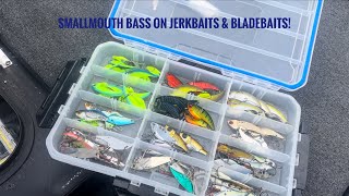 Smallmouth Bass on Jerkbaits amp Blade Baits [upl. by Sidra]