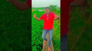 CHIRING l CHIRING l ନିସା ଟା‌ ଚଢିଲା‌ odia new  short [upl. by Leoy194]