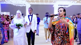 SHAADIYO SHARAF  WAA GUUL AROOSKA  OFFICIAL VIDEO 2023 [upl. by Komarek]