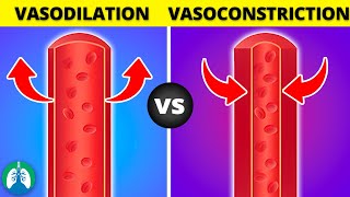 Vasoconstriction vs Vasodilation EXPLAINED [upl. by Rizan]