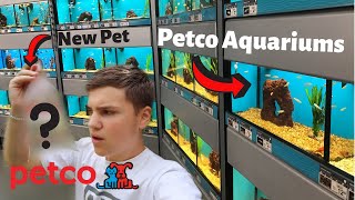 ALL THE FISH AT PETCO Petco fish tour [upl. by Gessner]