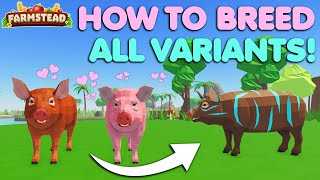 How To Breed All Pig Variants EASY Farmstead Roblox [upl. by Ellersick]