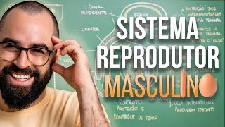 Sistema Reprodutor Masculino  Aula 33  Módulo VII Fisiologia Humana  Prof Gui [upl. by Cleve]