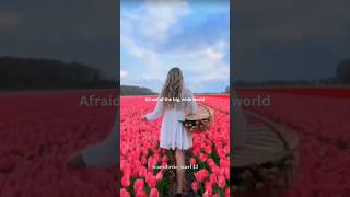 Lily ft Alanwalkermusic Lyrics alanwalker music song lyrics [upl. by Kinnard]