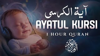 Fall Asleep FAST with Ayat Al Kursi The Throne Verse [upl. by Annerol309]