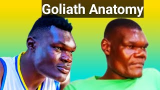 quotMBONA VICHWA ZINAKAA HIVOquot Bradley Gen Z Goliath Anatomy [upl. by Shannah]