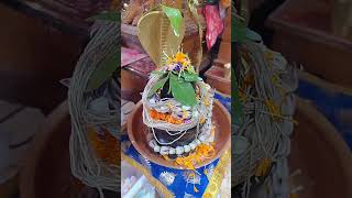 Om nomo shivai 🙏🏻🙏🏻shortvideo shorts [upl. by Janelle]