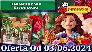 𝐁𝐈𝐄𝐃𝐑𝐎𝐍𝐊𝐀🐞Kwiaciarnia Biedronki Nowa Oferta Od 03062024 Kwiatowe Inspiracje Biedronki Tanie Kwiaty [upl. by Elockin723]