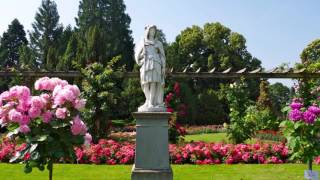 Rosentraum auf der Insel Mainau [upl. by Bakki]