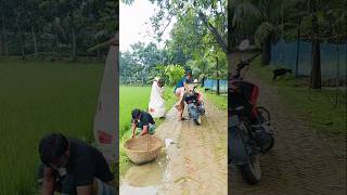 বিটলা বিটলামি দেখেন বন্ধু রাtrending trending funny trending viralvideo [upl. by Novoj702]