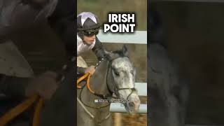 🇮🇪Punchestown Festival Day 4️⃣ Headline Horses 🏆 [upl. by Bruckner]