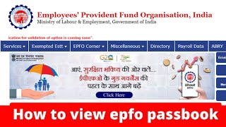 epf passbook video  how to view epfo passbook epfopassbook [upl. by Airenahs]