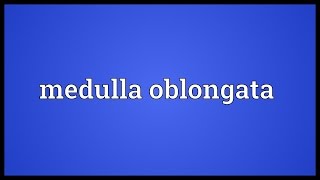 Medulla oblongata Meaning [upl. by Downe]