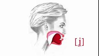 PRONUNCIACIÓN DE LA Y FRICATIVA PALATAL SONORA ʝ EN ESPAÑOL ej Yemen [upl. by Nyladnek]