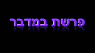 קריאה בתורה פרשת במדבר נוסח ספרדי ירושלמי Bamidbar [upl. by Silin812]