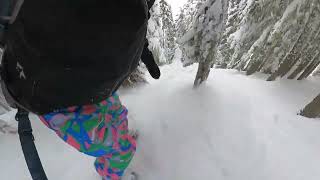 20240302Stevens PassSnowboarding Polaris x out of bounds Glades x natural half pipe [upl. by Nilatak]