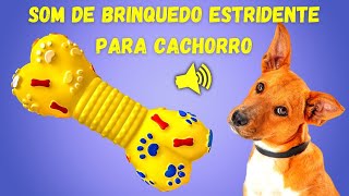 5 Sons de Brinquedo Estridente para Cachorro Virar a Cabeça e Brincar  Dog Squeaky Toy [upl. by Ennyrb]