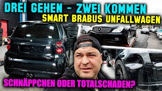 3 Autos gehen 2 Autos kommen  Smart Brabus Unfallwagen  Schnäppchen oder doch Totalschaden [upl. by Sonnnie18]