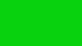 Flash blink lite green screen effect  no copyright  for video edit [upl. by Ojytteb183]