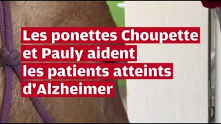 VIDÉO À Châtellerault deux ponettes égayent le quotidien des patients atteints dAlzheimer [upl. by Baumbaugh]