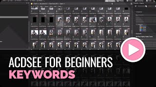 ACDSee Photo Studio for Beginners 4 Your Words Are Key [upl. by Aihseym]