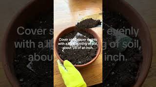 How to plant seed paper [upl. by Mokas]