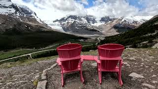 Wilcox Pass Trail in Jasper National Park [upl. by Ahsekan]