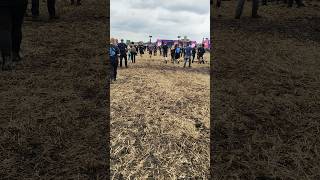 Walkthrough  Graspop Metal Meeting 2024 Graspop GraspopMetalMeeting GMM [upl. by Surad975]