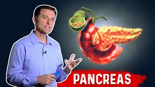 The Function Of Pancreas amp Pancreatitis – Dr Berg﻿ on Pancreatic Insufficiency [upl. by Yniattirb]