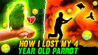 HOW I LOST MY 4 YEAR OLD PARROT 😔💔  STORY TIME [upl. by Sarnoff]