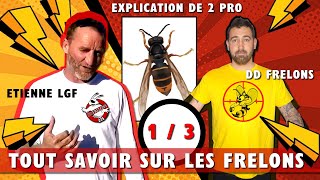 13 Tout SAVOIR sur le FRELON ASIATIQUE avec 2 PRO  Etienne LGF [upl. by Semyaj]