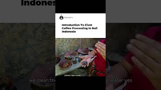 Introduction To Civet Coffee Processing In Bali Indonesia [upl. by Sabina807]