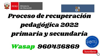 REGISTRO PROMOCION GUIADA 2022PRIMARIA Y SECUNDARIA [upl. by Dyke]