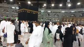 Cheikh Said Mohamed Djibril Invocationsdouan en direct devant la Kaaba à la Mecque 2022 [upl. by Sacci]