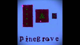 Pinegrove  Need 2 Slowed  Reverb [upl. by Aitahs486]