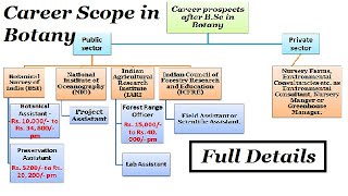 Botany Career Scope jobs amp salary  Job Opportunities  Salary  Career as Botanist [upl. by Berkley]