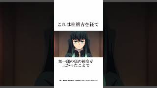 意外と知らない鬼滅の刃の作画ミスに関する面白い雑学二選【鬼滅の刃】雑学鬼滅の刃柱稽古編 [upl. by Ilocin89]