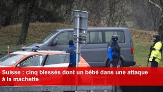 Suisse  cinq blessés dont un bébé dans une attaque à la machette [upl. by Alphonsine]